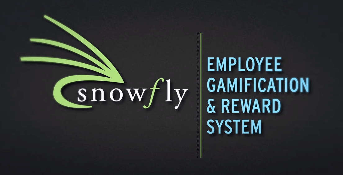 Snowfly Employee Gamification & Rewards