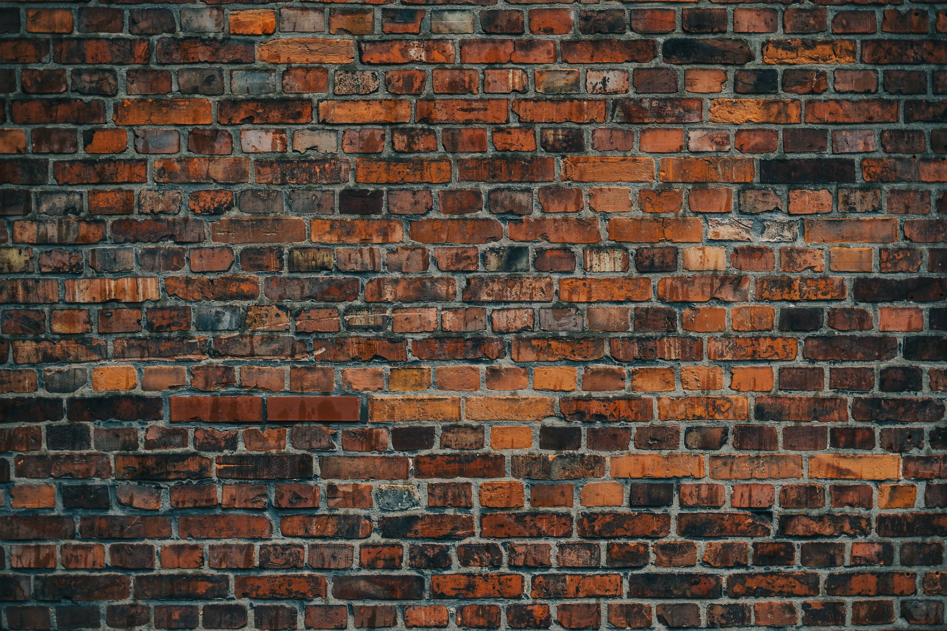 people just want to belong brick wall