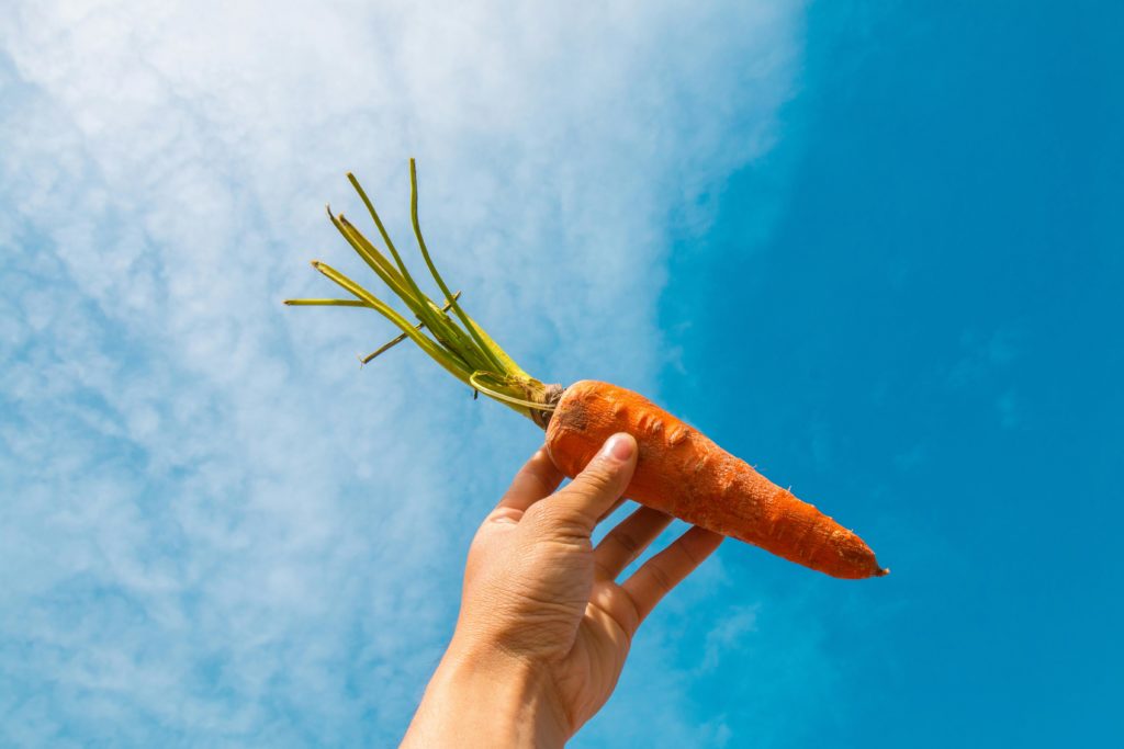 employee recognition is more than a carrot